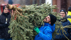 Weihnachtsbaum-Weitwurf-Wettbewerb in Nüsttal und Lauterbach