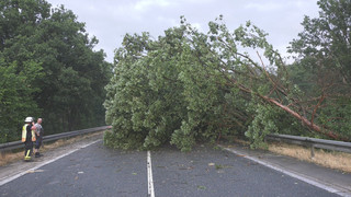 Unwetter trifft Rüsselsheim: Haus und mehrere Autos beschädigt