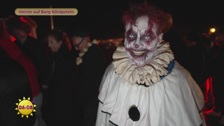 Kreisch-Alarm auf Burg Königstein