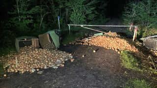 Zwiebel-Skandal von Mühlheim: Hunderte Kilo mitten in den Wald gekippt