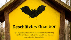 Besonderer Tunnel in Wiesbaden: Warum er Fledermäuse anzieht