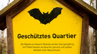 Besonderer Tunnel in Wiesbaden: Warum er Fledermäuse anzieht