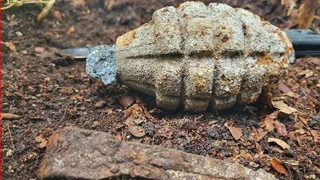 Gefährlicher Fund beim Pilzesammeln: Handgranate liegt unterm Laub