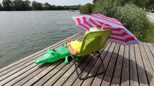 Keine Schlange im Pfordter See gefunden