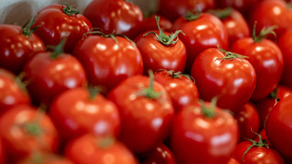 Verbrauch von Tomaten in Deutschland deutlich gesunken