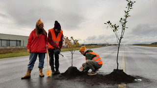 Letzte Generation: Bäume auf Rollfeld von Kassel Airport "gepflanzt"