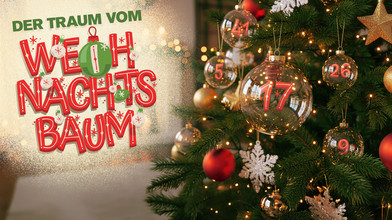 Der Traum vom Weihnachtsbaum – Kugeln finden und gewinnen