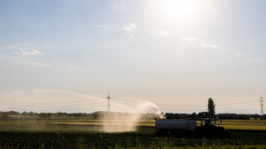 Das Wetter am Wochenende wird heiß