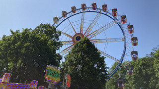 "Es ist das schönste Frankfurter Volksfest": Wäldchestag im Stadtwald