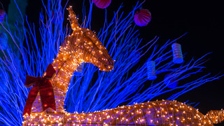 Winterzauber: Die schönsten Lichter-Events in Hessen