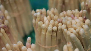 Bilanz der Spargel-Ernte in Hessen: Bauern zufriedener als 2022