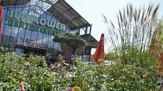 Punkte sammeln & 500 € Gutschein von Sunflower Gartencenter gewinnen