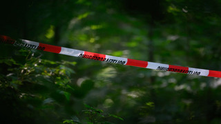 Gruseliger Fund in Büdingen: Spaziergänger entdeckt Schädel im Wald