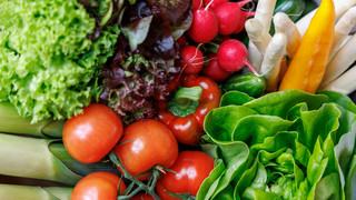 Stadtbücherei Lauterbach verleiht wieder Saatgut