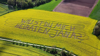 Besonderer Heiratsantrag in Rauschenberg: Schriftzug im blühenden Feld