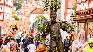 Volles Programm: Heimat- und Strandfest Rotenburg startet