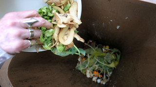 Biomülldetektor im Kreis Fulda: Bessere Qualität, aber auch mehr Ärger