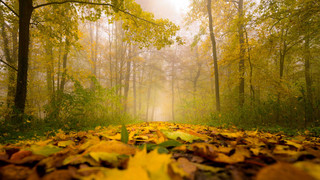 Das Wochenendwetter: ein Hauch von Normalität