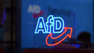 Höhenflug der AfD: Auch im «Politbarometer» stärkste Kraft