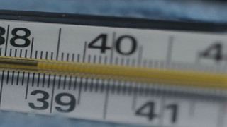   Temperaturrekord in Deutschland - 41,3 Grad gemessen