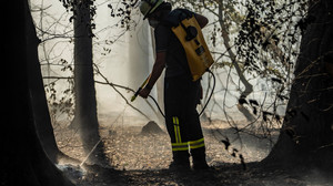 Waldbrände in Maintal: Jugendlicher im Visier der Ermittler