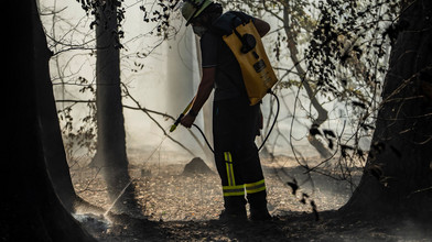Waldbrände in Maintal: Jugendlicher im Visier der Ermittler