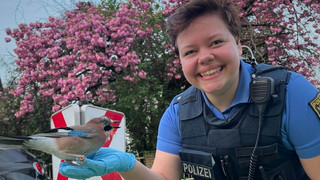 Tierische Rettungsaktion in Darmstadt: Polizei hilft Vogel