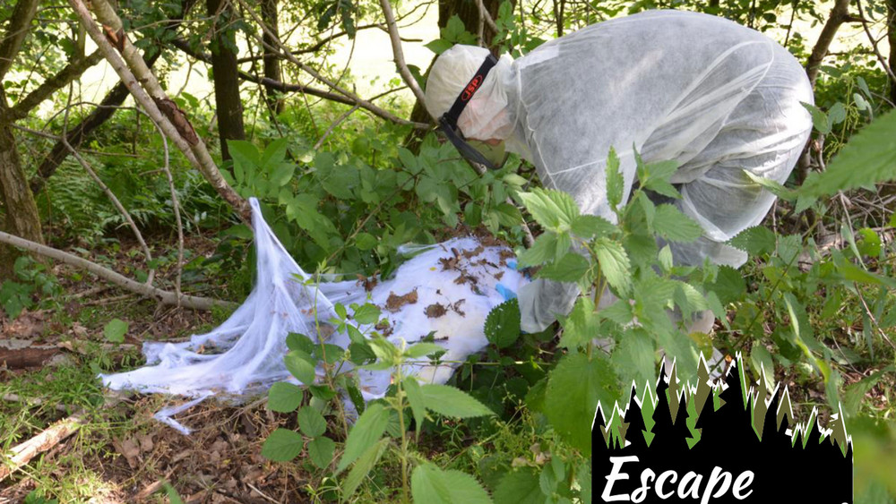 Escape Forest: Outdoor-Rätsel in Rotenburg a.d. Fulda