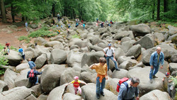 Klettern im Odenwälder Felsenmeer