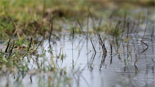 Alarmstufe Rot im Südwesten: Wetterdienst warnt vor Hochwasser