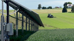 Europas Äcker sichern: Agri-PV weist Weg zu nachhaltiger Solarnutzung