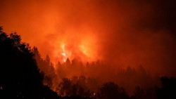 Klimastudien: Das Problem mit dem Pessimismus