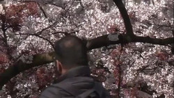 Besserung in Sicht: Wetter beruhigt sich ab Mittwoch wieder