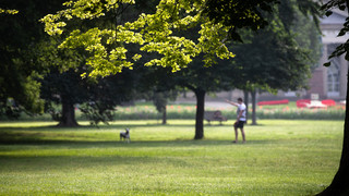 "Chill and Grill" im Kurpark von Bad Salzschlirf