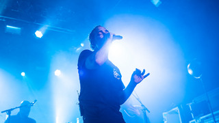 Bosse: Live in der Batschkapp in Frankfurt