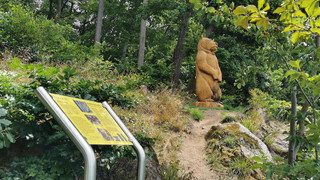 Bienenlehrpfad in Lindenfels: Wandern und Insekten kennenlernen