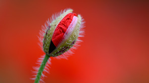 Bilder des Tages