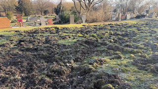 Auf Kasseler Westfriedhof wüten wieder Wildschweine