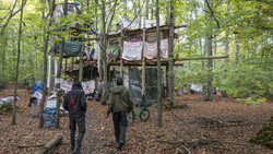 Polizei räumt besetzen Wald in Langen nach Protest gegen Rodung
