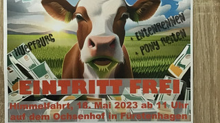 Wohin kackt die Kuh? Kuhlotto in Fürstenhagen an Himmelfahrt