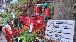Für Gartenfans: Herbstmarkt im Umweltzentrum Fulda