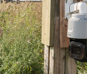 Die besten Wetter-Webcams in Hessen: Sonne oder Schnee?