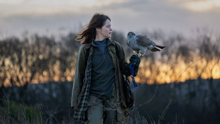 "H wie Habicht": Trauerbewältigung mit einem "verrückten" Vogel