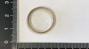Kinder finden über 60 goldene Ringe im Wald bei Johannesberg