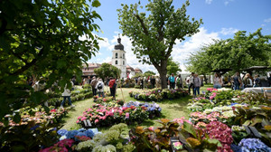 Fürstliches Gartenfest auf Schloss Fasanerie startet