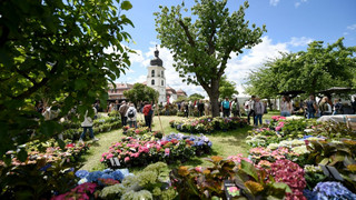 Fürstliches Gartenfest auf Schloss Fasanerie startet
