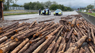 Nach Baumstamm-Chaos auf A5: Autobahn bei Frankfurt wieder frei
