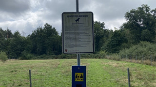 Ärger um Hundeplatz in Hainburg-immer mehr Beschwerden