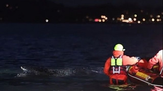 In Freiheit geschwommen? Buckelwal an Ostsee-Sandbank nicht mehr zu sehen