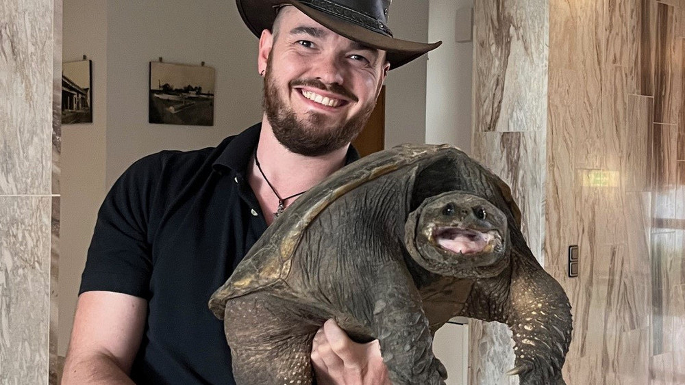 Diese Schnappschildkröte wurde in Biblis gefunden.